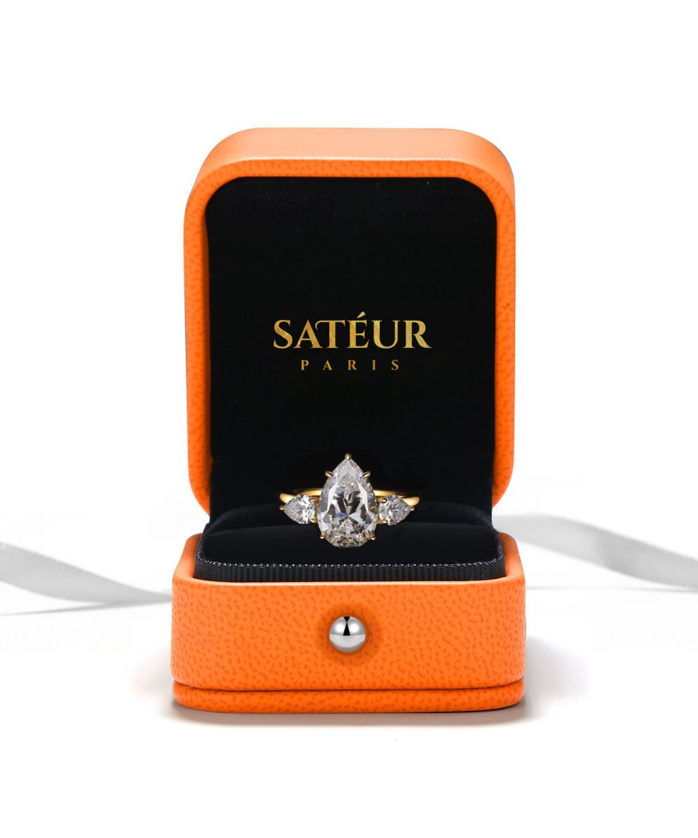 封面-SAT-137 Satéur 文艺复兴时期的 Éclatant 戒指
