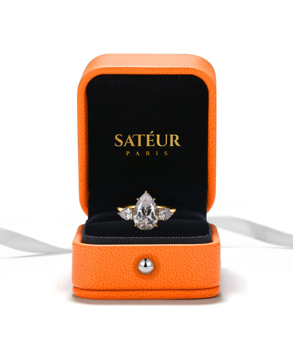 Εξώφυλλο-SAT-137 Satéur Δαχτυλίδι Éclatant της Αναγέννησης