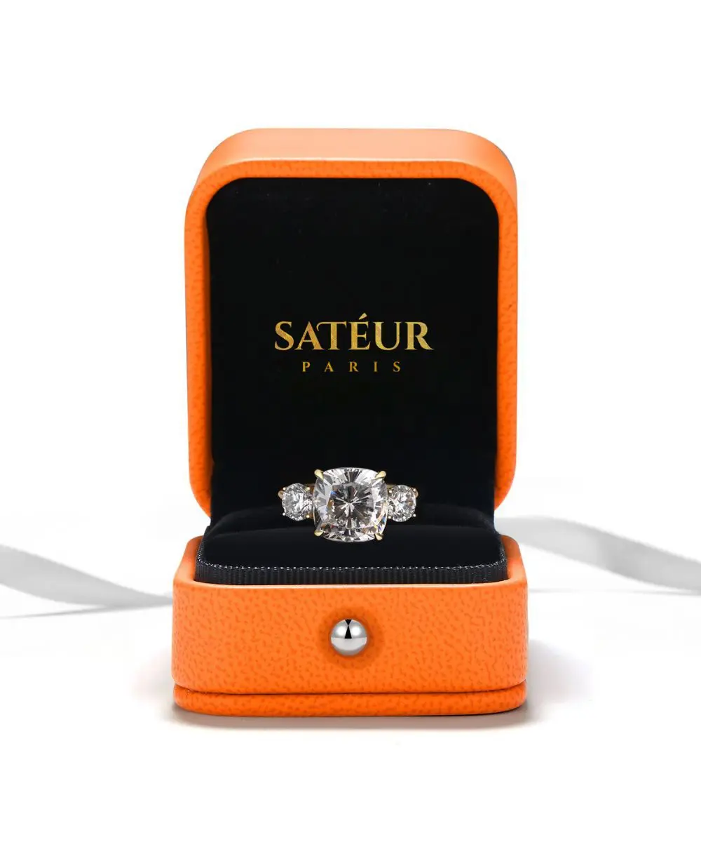 Εξώφυλλο-SAT-138 Satéur Δαχτυλίδι Dorée της Αναγέννησης